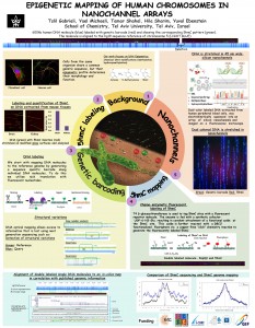 Tslil_Gabrieli_Nano_poster_2016